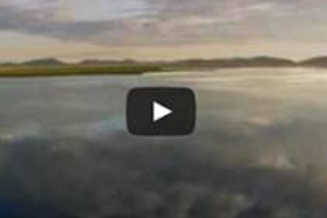 EL AGUA, Elemento vital