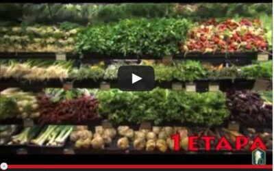 Programa 21: Alimentos