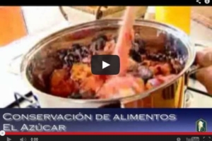 Programa 8: Productos químicos en la conservación de los alimentos
