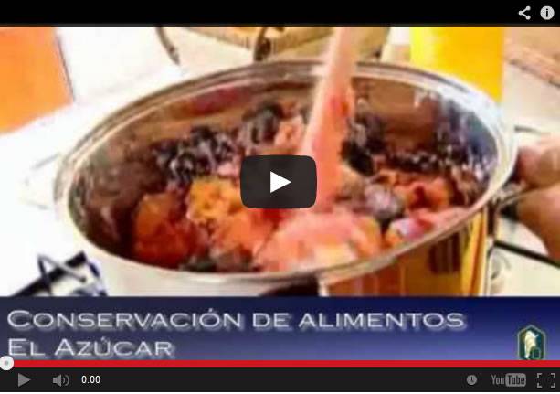 Programa 8: Productos químicos en la conservación de los alimentos