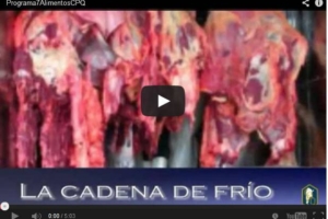 Programa 7: Conservación por frío de los alimentos