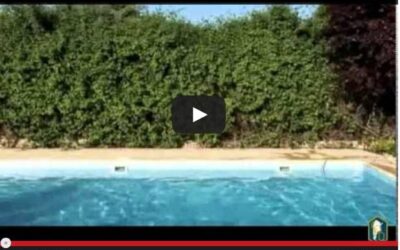 Programa 12: Cuidado de las piletas de natación