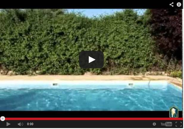 Programa 12: Cuidado de las piletas de natación