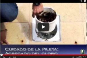 Programa 13: Cuidado de las piletas de natación II
