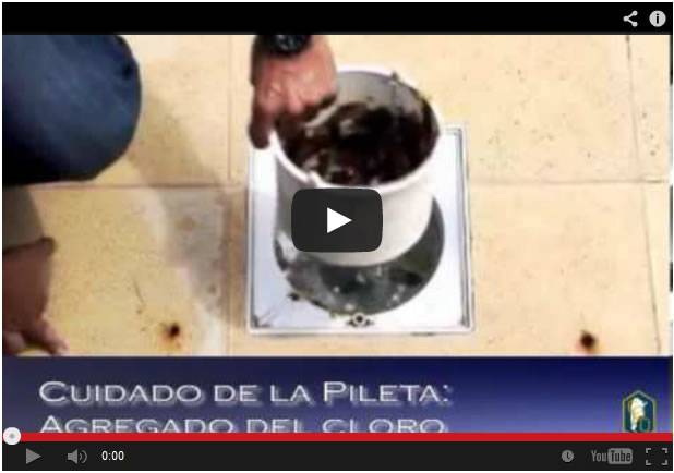 Programa 13: Cuidado de las piletas de natación II