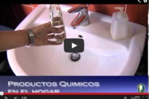 Programa 14: Remedios caseros con productos químicos