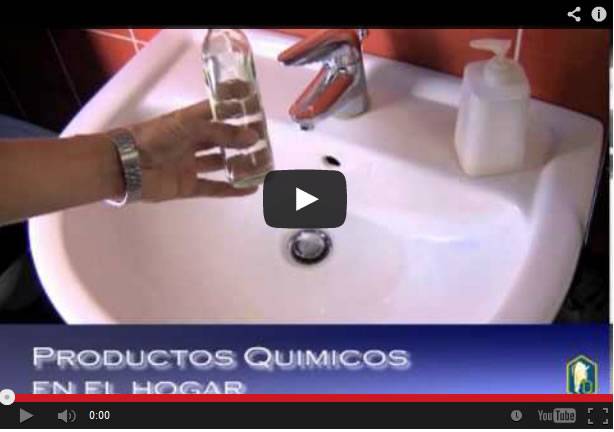 Programa 14: Remedios caseros con productos químicos