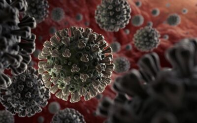 INFORMACIÓN PARA LABORATORIOS Y PERSONAL DE LOS MISMOS ANTE LA PANDEMIA DE CORONAVIRUS