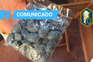 LA COMERCIALIZACIÓN DE RATICIDAS CON SEMEJANZAS A CARAMELOS REPRESENTA UN RIESGO LATENTE PARA LOS NIÑOS
