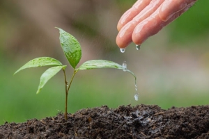 EL CONSEJO DE CIENCIAS NATURALES DIFUNDIÓ UN DOCUMENTO POR EL DÍA DEL AMBIENTE