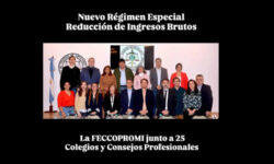 EN DEFENSA DE LOS PROFESIONALES la FEDERACIÓN DE CONSEJOS Y COLEGIOS PROFESIONALES DE MISIONES (FeCCoProMi)