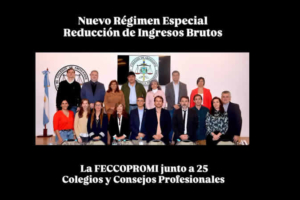 EN DEFENSA DE LOS PROFESIONALES la FEDERACIÓN DE CONSEJOS Y COLEGIOS PROFESIONALES DE MISIONES (FeCCoProMi)