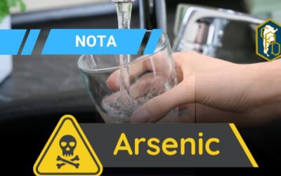 EL ESTADO DEL AGUA POTABLE EN GRAL RODRÍGUEZ: CUÁLES SON LOS RIESGOS AL CONSUMIRLA SI HAY ARSÉNICO
