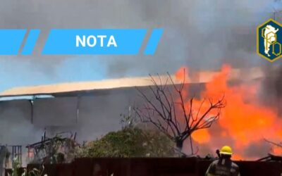 INCENDIOS RECURRENTES EN LA PROVINCIA: SE HA NATURALIZADO LA NEGLIGENCIA, EL INCUMPLIMIENTO DE LA LEY Y LA AUSENCIA DE CONTROLES